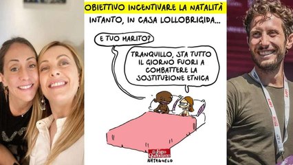 Arianna Meloni, l'attacco di Natangelo Vignetta L'ha pubblicata il premier