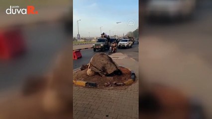 Sudan'da paramiliter güçlerin komutanı çatışmaların ardından ilk kez görüntülendi