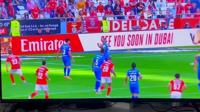Rui Costa Benfica