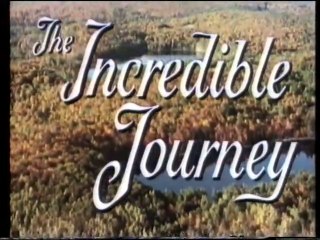 Viaje Increíble - VHS Walt Disney