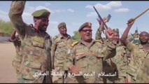 الجيش السوداني ينشر مقطع فيديو لاستسلام قوات الدعم السريع في الفشقة الصغرى قبل عدة أيام  #السودان  #العربية