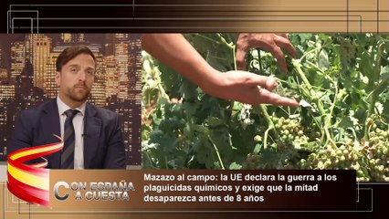 RUBÉN TAMBOLEO: Llevamos más de 40 años teniendo una agenda que destroza el campo