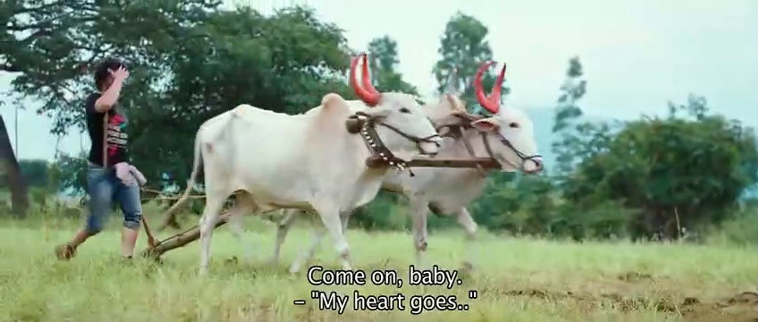 Tv comedy videos comedy drama and thriller movies and movies scenes