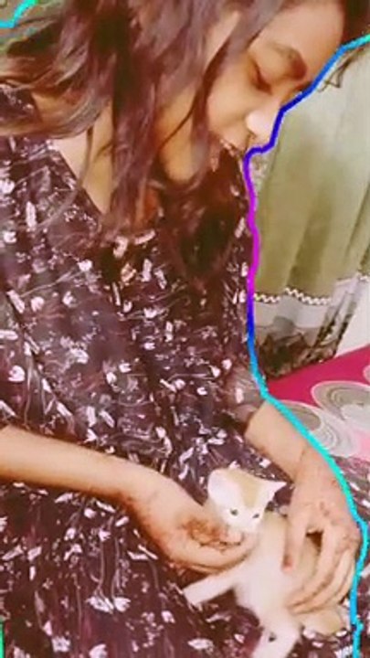 Baby Cat video |#shorts #viralshorts #youtubeshorts