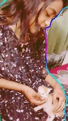 Baby Cat video |#shorts #viralshorts #youtubeshorts