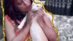 Cute Cat Videos | #shorts #viralshorts