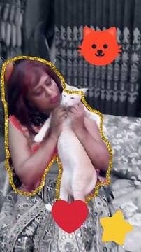 Cute Cat Videos | #shorts #viralshorts