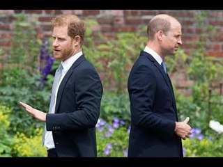 William "ne devrait" pas être contraint de se montrer gentil "avec Harry pour l'amour du roi