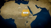 لماذا يغيب دور الدول المجاورة للسودان؟