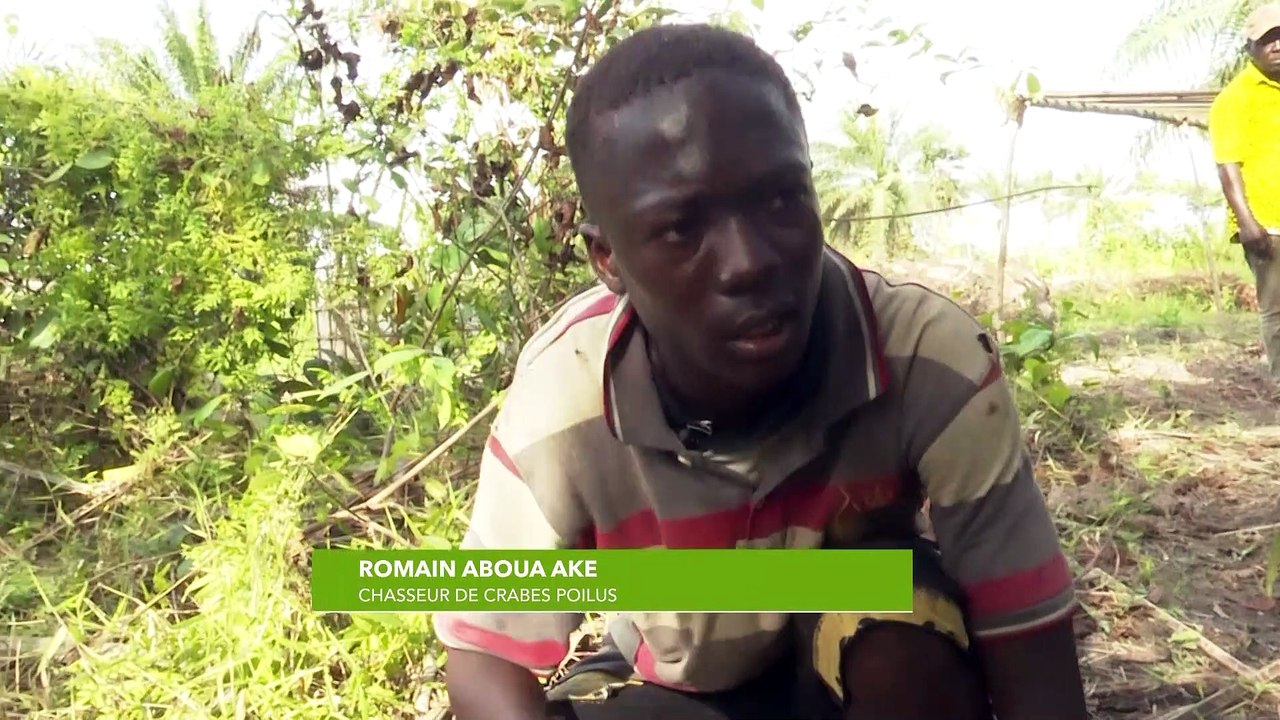 Dossier : La pêche traditionnelle de crabes et poissons sur la lagune Ebrié