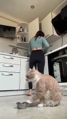 DJ Kitty Laying Down Some Hungry Beats