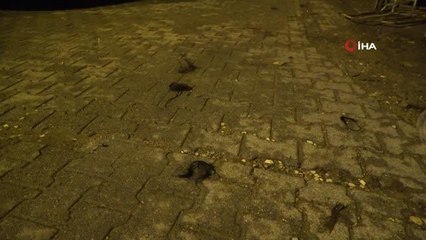 Kadınların saç baş yolduran kavgasında bıçaklanan polis memuru yaralandı