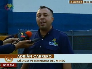 Arriban al país 4 tigres de bengala que serán llevados a los parques Zoológico El Pinar y Caricuao