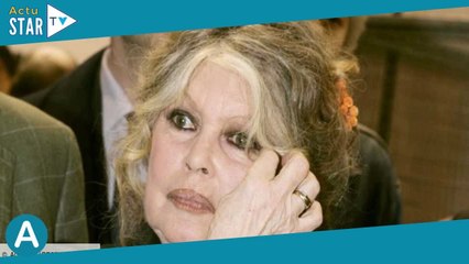 Brigitte Bardot : “Dès qu’elle approche, il hurle…”, sa relation compliquée avec son fils unique Nic