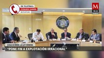 Ley Minera pone fin a explotación irracional e irresponsable: Ignacio Mier, diputado de Morena