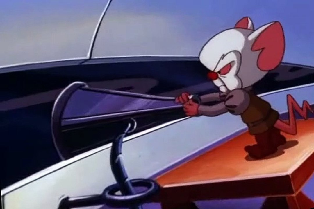 Pinky and the Brain Pinky and the Brain S03 E038 The Melancholy Brain