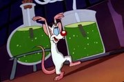 Pinky and the Brain Pinky and the Brain S03 E050 The Really Great Dictator