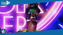 Mask Singer : quelle célébrité se cachait sous le costume du Canard et a été éliminée ce vendredi 14