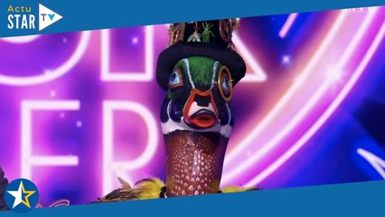 Mask Singer : quelle célébrité se cachait sous le costume du Canard et a été éliminée ce vendredi 14