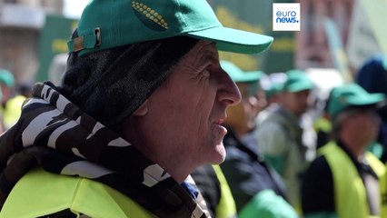 Grano ucraino, gli agricoltori dell'Europa dell'Est in difficoltà: "I corridoi ci danneggiano"