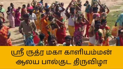 தஞ்சை: ருத்ர மகா காளியம்மன் ஆலய பால்குட திருவிழா