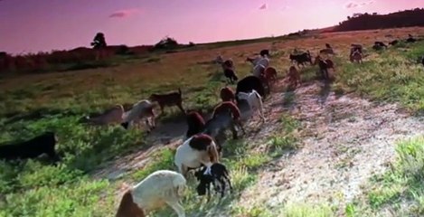 The Living Bible S01 E13