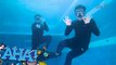 Poca at Chardie, sumabak sa diving lessons! | AHA!