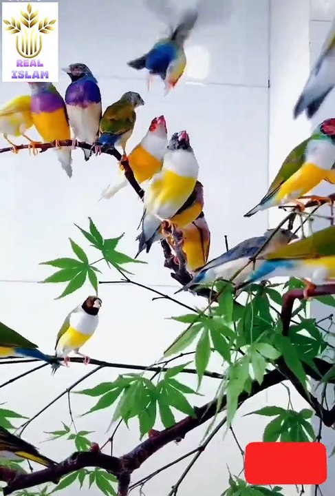 Nature and hamd