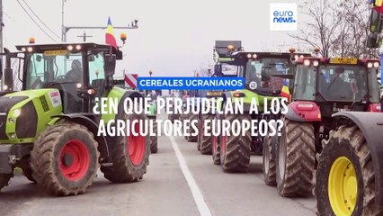 La Comision Europea subvenciona a los agricultores del Este por la presencia del trigo ucraniano
