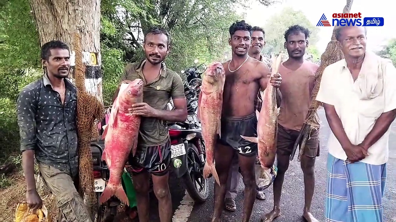 Watch : பொன்னமராவதி அருகே மழை வேண்டி மீன்பிடித் திருவிழா! ஊர் ஒற்றுமைக்காக திரண்ட மக்கள்!
