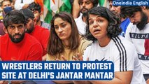 WFI chief Sexual allegations: Wrestlers are back to protest at Delhi’s Jantar Mantar | Oneindia News