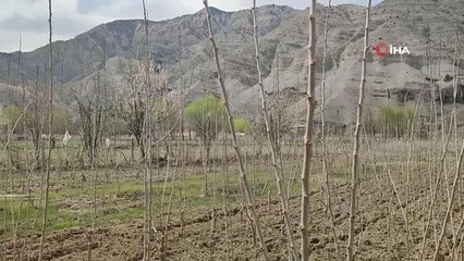 Hobi olarak başladı çeşit çeşit yüzlerce fidan yetiştiriyor