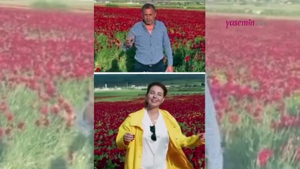 Gülben Ergen'e büyük tepki! Gelincik tarlasında çekim yapan şarkıcıya tarla sahibinden...