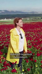 Gülben Ergen gelinciklerin içinde ‘Depremi unutma’ dedi, tarla sahibinden tepki geldi