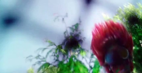 Dirk Gentlys Holistic Detective Agency S02 E05
