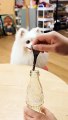 Another trick! Adorable Pet Debut Plan Hiromi Cute to Explosion Confusing Behavior Award Magic