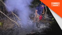 Cuaca panas punca lima hektar hutan terbakar