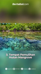 5 fakta unik Taman Nasional Bali Barat