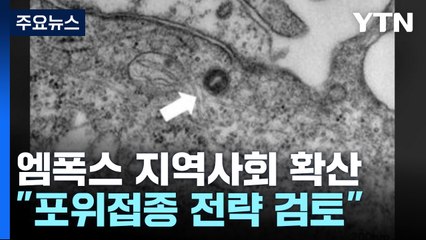 엠폭스 10명 늘어 총 30명..."증상 있으면 적극 검사" / YTN