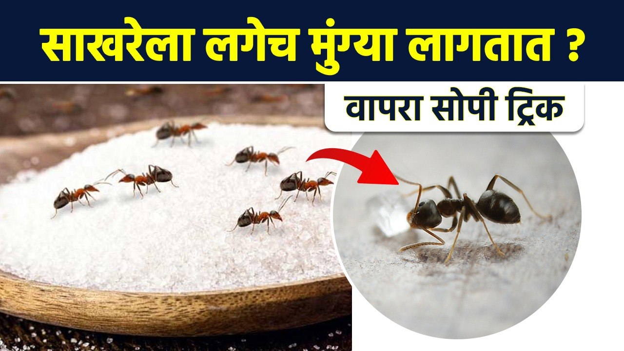 10 पदार्थ टिकवून ठेवण्यासाठी 10 टिप्स | Kitchen Tips | Kitchen Tricks | Kitchen Hacks | RI3