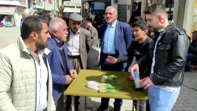 Yüksek dağlarda yetişen ve birçok hastalığa iyi geldiği belirtilen zuzubak otu yok satıyor