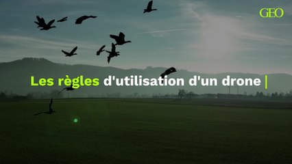 Les règles à respecter pour utiliser son drone en pleine nature