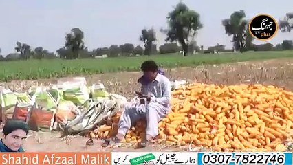 Chotu Chawani Athaani Lodhi Mashooq Funny Video - By shahid 67