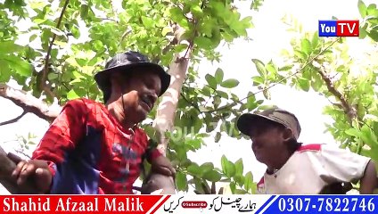 Chotu Chawani Athaani Dill To Pagal Hy 2 Funny Video - By shahid 67