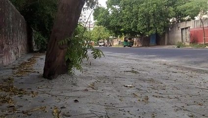 कहीं डामर बिछा रोकी सांसें, कहीं टाइल्स लगा निकाली जान