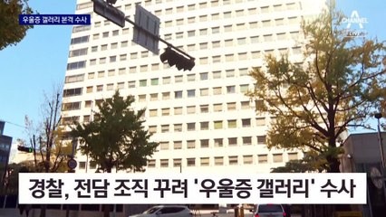 디시인사이드 ‘우울증 갤러리’ 전담 수사…강수 꺼낸 경찰