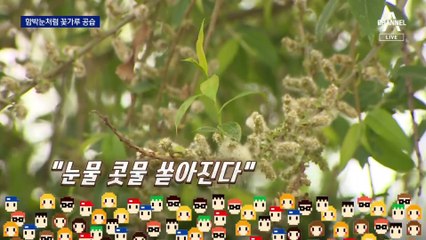 눈물에 콧물까지…이상고온으로 꽃가루 3배 증가