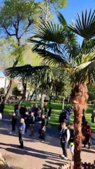 Süleyman Soylu'nun mitingi alay konusu oldu