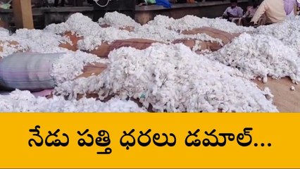 ఆదోని: తగ్గిన పత్తి ధరలు