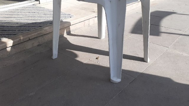 İYİ Parti seçim bürosu önünde boş kovan bulundu